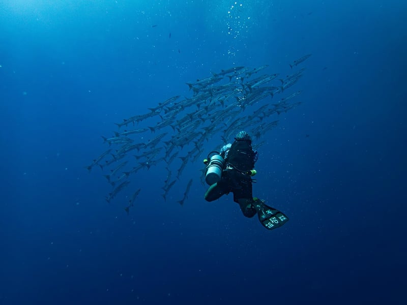 Underwater Cave
